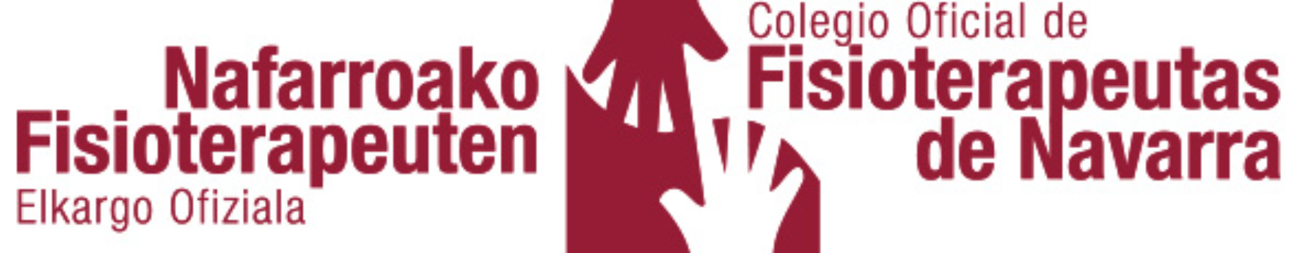 Captura de pantalla 2022-05-20 112238 Colegio de fisioterapeutas de Navarra